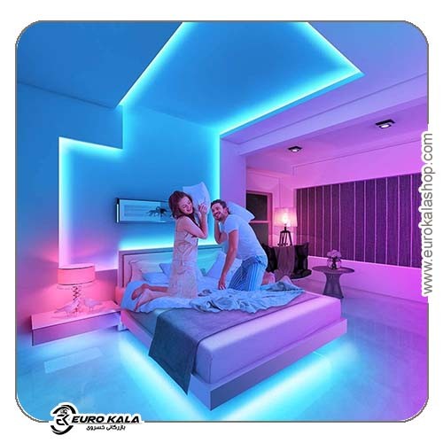 ریسه هوشمند پک دو عدد 10 متری DSKING