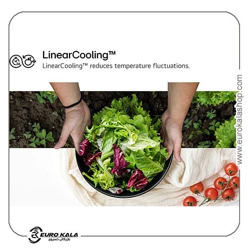 یخچال ساید بای ساید ال جی NatureFRESH مدل GSLC 41 PYPE